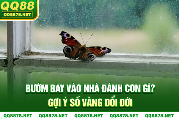 Bướm Bay Vào Nhà Đánh Con Gì? Gợi Ý Số Vàng Đổi Đời