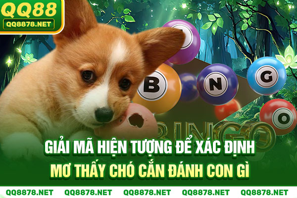 Giải mã hiện tượng để xác định mơ thấy chó cắn đánh con gì