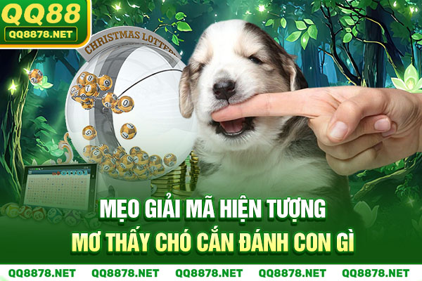 Mẹo giải mã hiện tượng mơ thấy chó cắn đánh con gì