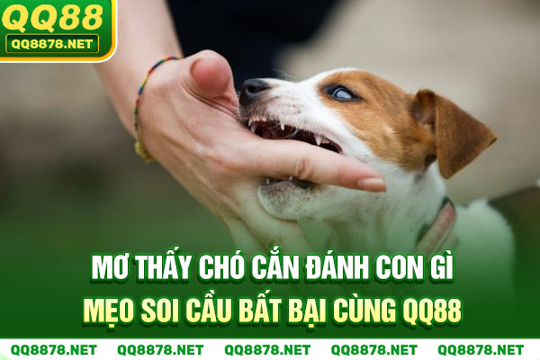 Mơ Thấy Chó Cắn Đánh Con Gì - Mẹo Soi Cầu Bất Bại Cùng QQ88