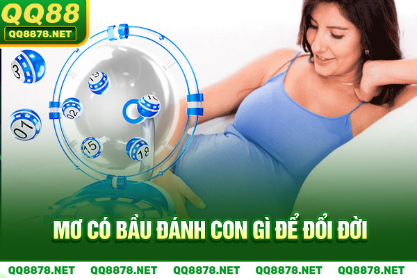 Mơ có bầu đánh con gì để đổi đời