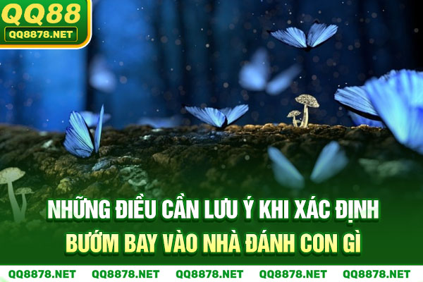 Những điều cần lưu ý khi xác định bướm bay vào nhà đánh con gì