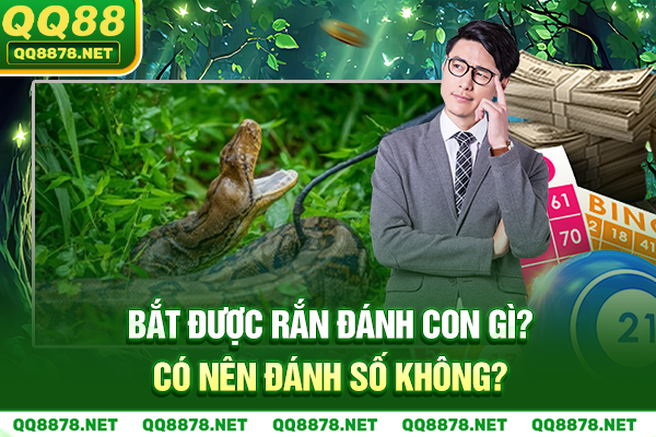 Bắt được rắn đánh con gì? Có nên đánh số không?