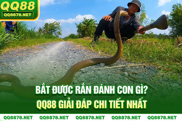 Bắt Được Rắn Đánh Con Gì? QQ88 Giải Đáp Chi Tiết Nhất