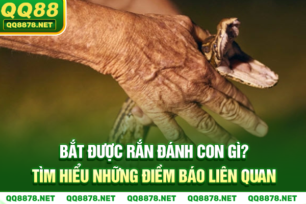 Bắt được rắn đánh con gì? Tìm hiểu điềm báo liên quan