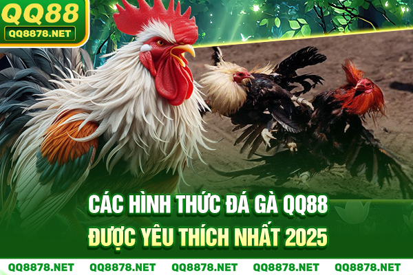Các hình thức đá gà QQ88 được yêu thích nhất 2025