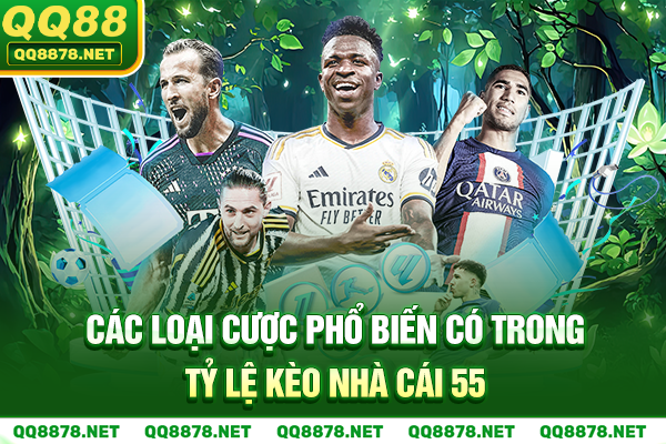 Các loại cược phổ biến có trong tỷ lệ kèo nhà cái 55