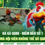 Đá Gà QQ88 – Điểm Đến Số 1 Mà Hội Viên Không Thể Bỏ Qua