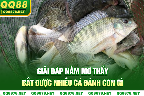 Giải đáp nằm mơ thấy bắt được nhiều cá đánh con gì