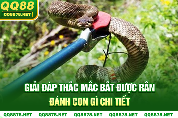 Giải đáp thắc mắc bắt được rắn đánh con gì chi tiết
