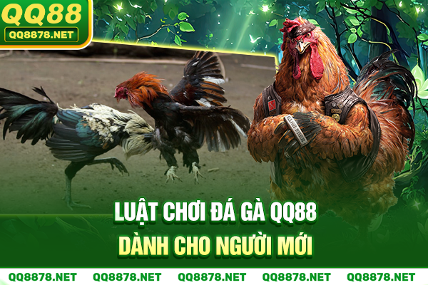 Luật chơi đá gà QQ88 dành cho người mới