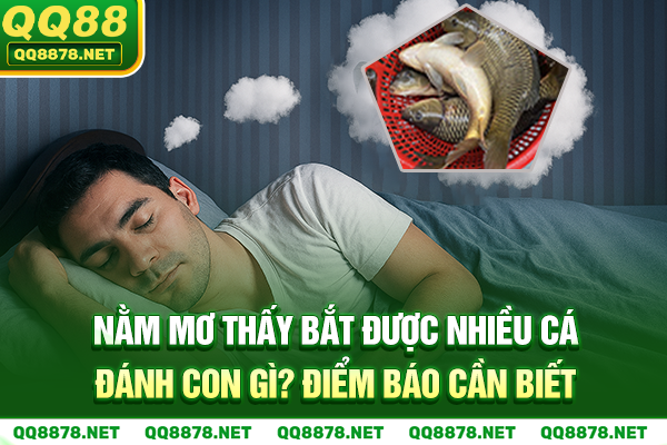  Nằm mơ thấy bắt được nhiều cá đánh con gì - Điềm báo cần biết